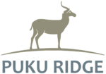Chichele Safaris-logo